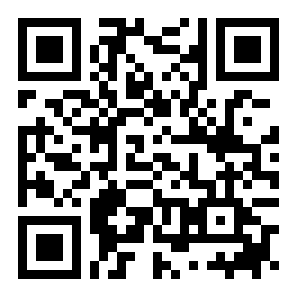 真实汽车特技表演手机版手机请直接扫码下载