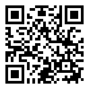 迷你赛车拉什2020游戏安卓手机版手机请直接扫码下载