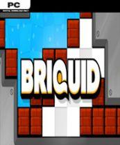 Briquid 简体中文免安装版