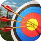 射箭大师3D(Archery Master 3D)破解版