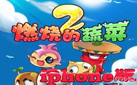 燃烧的蔬菜2iphone版v2.0.4