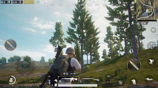 pubg国际服苹果版iOS版