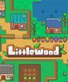 Littlewood 游戏库