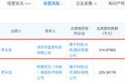 罗永浩出质股权：罗永浩出质315万元锤子科技股权