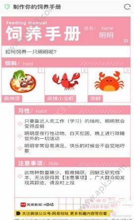 网易新闻哒哒饲养手册H5游戏手机版测试入口