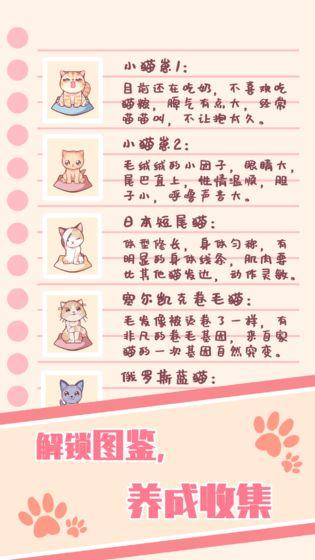 猫咪养成云撸猫 安卓版