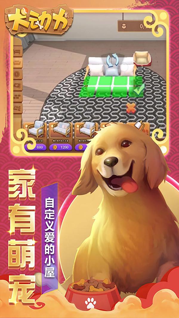 犬动力训犬大师