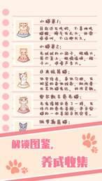 猫咪养成：云撸猫