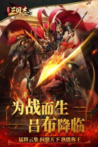 武神三国志 安卓版