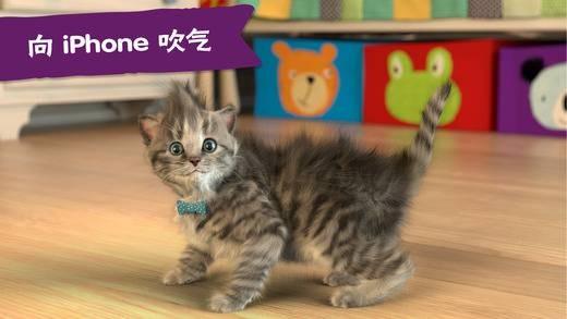 我最喜爱的猫猫安卓版