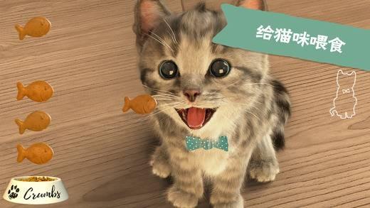 我最喜爱的猫猫安卓版