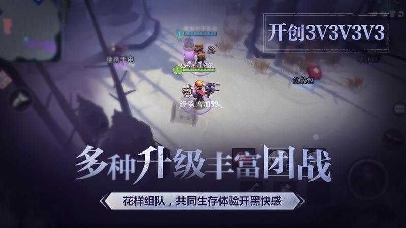 迷雾求生 网易版