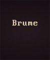 Brume 英文免安装版