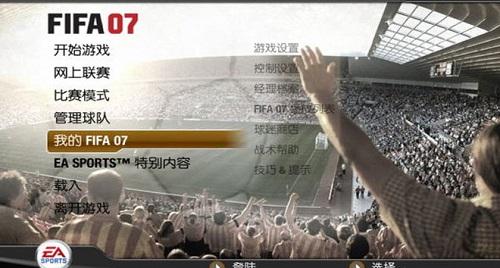 fifa世界足球2007