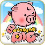 Bounding pig