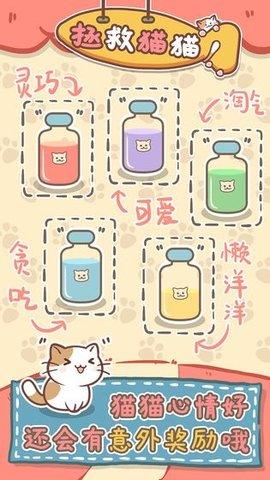 拯救猫猫破解版