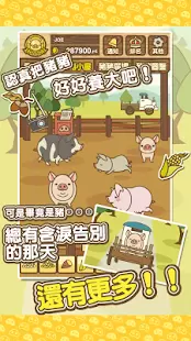 养猪场MIX无限金币版