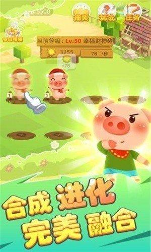 养猪小达人领红包v1.1.2