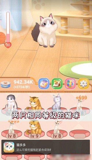 猫多多软件v1.4