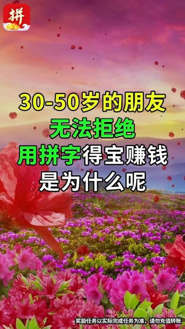 拼字得宝红包版