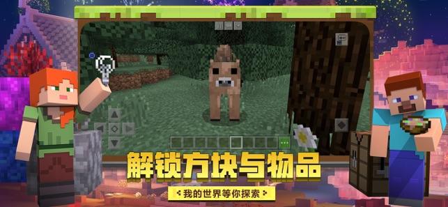 我的世界1.16.5新春版