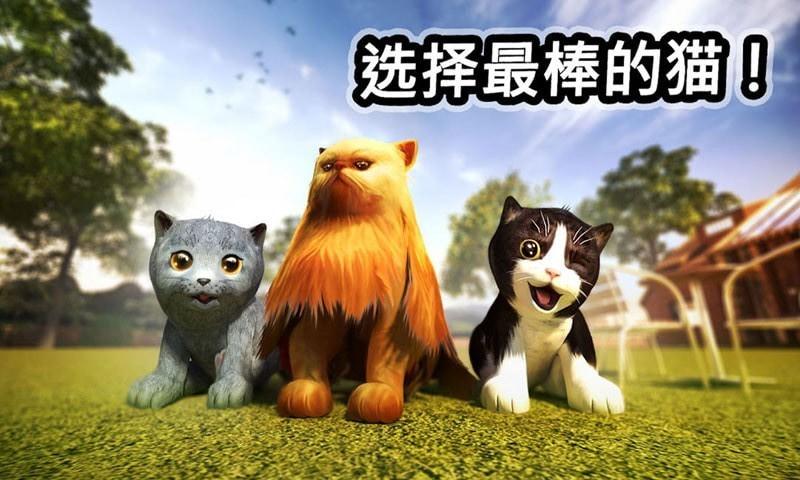 迷你小猫城市生存