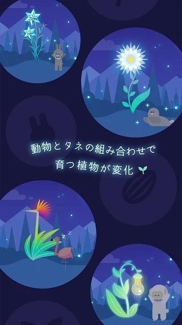 夜之森林