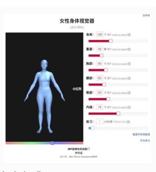 Female Body Visualizer官方版