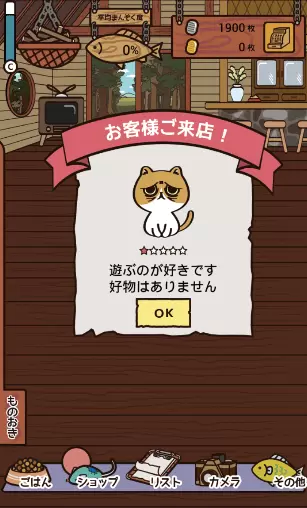 忙碌猫咪店