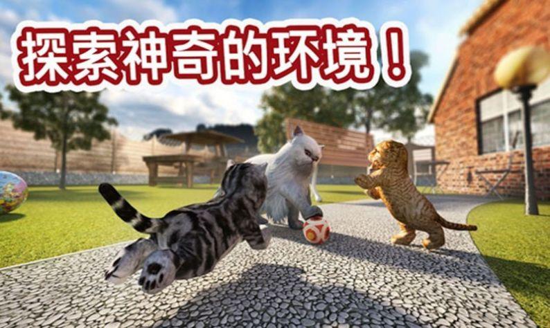 迷你小猫城市生存最新版