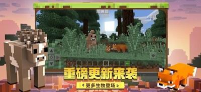 我的世界1.16.5