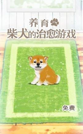 养育柴犬的治愈安卓版