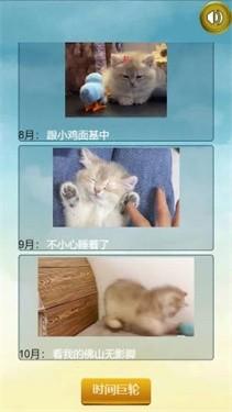 猫的一生重启模拟器官方版