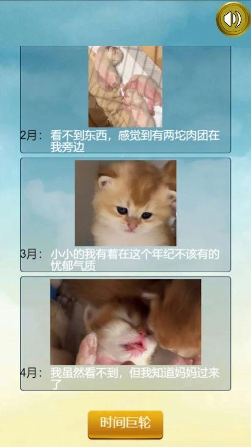 猫的一生重启模拟器游戏手机版