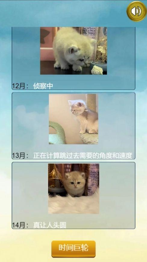 猫的一生重启模拟器游戏手机版