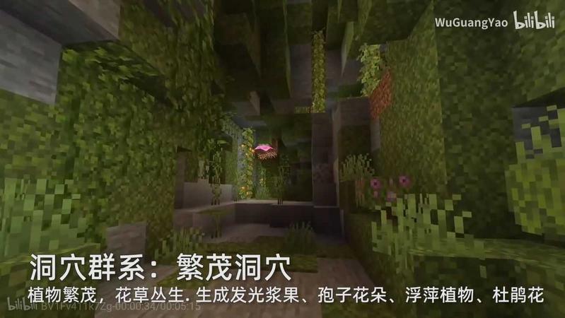 我的世界1.17.30.20基岩版(Minecraft)