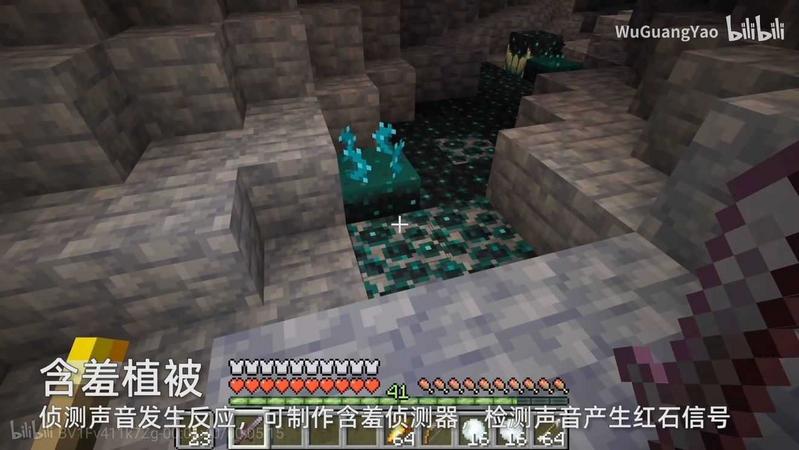 我的世界1.17.30.20基岩版(Minecraft)