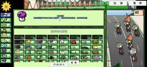 植物大战僵尸双人版