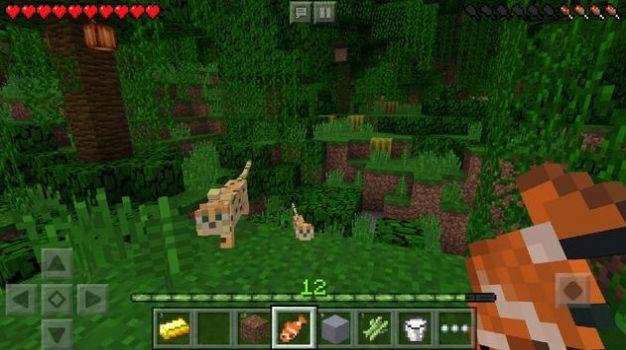 minecraft1.19国际版下载手机版ios免费