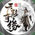 天影奇缘文字版