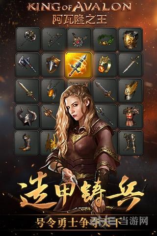 阿瓦隆之王单机版