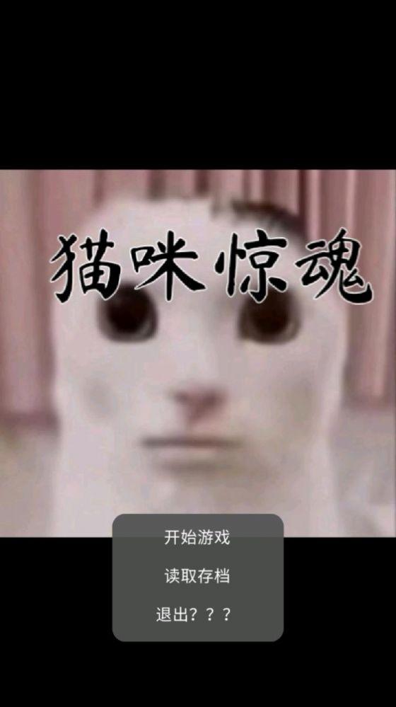 小猫惊魂下载安装手机版