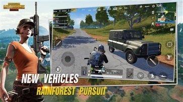 pubg国际版手游下载2.4版本安卓版