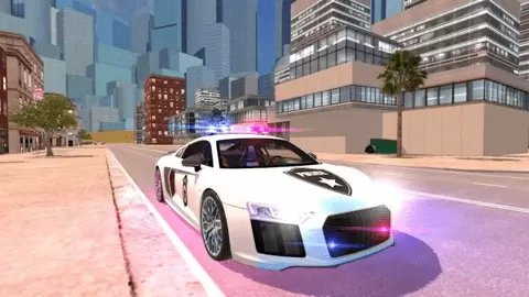 R8警察模拟器