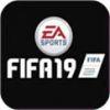 FIFA19