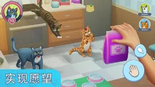 我的宠物猫模拟器官方版