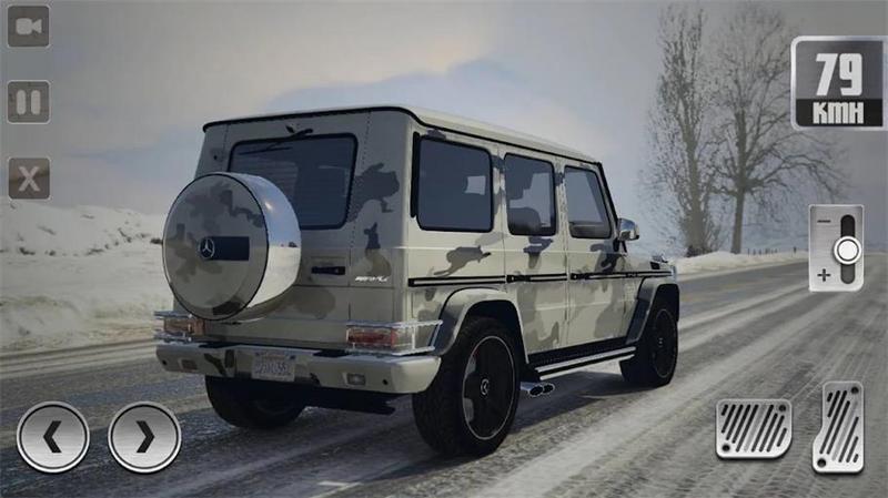 G65停车模拟器中文版