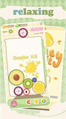 Bouncy Fruit 2048安卓版