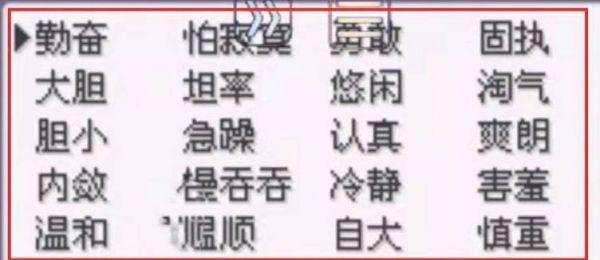 口袋妖怪究极绿宝石5.5性格 口袋妖怪究极绿宝石5.5改变性格图3