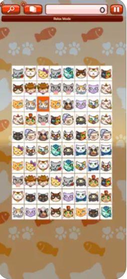 Onet Cat Portrait苹果版